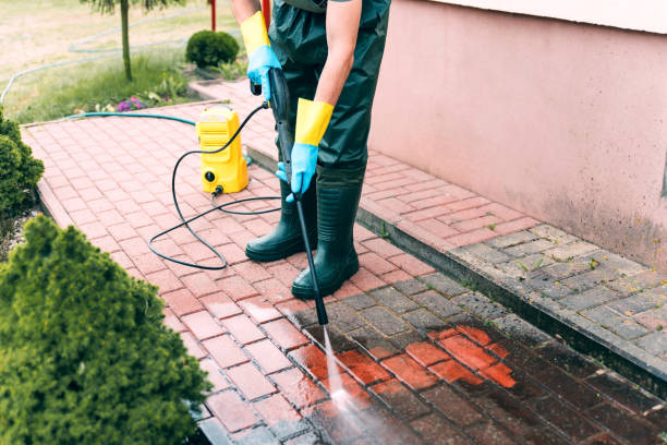 Best Solar Panel Cleaning  in Georgetown, IN